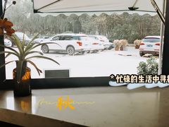 -隹木咖啡馆(宝龙广场店)