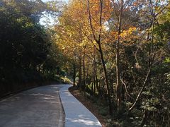 -广州市石门国家森林公园