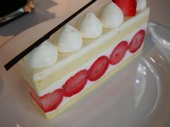 -BLACKSWAN黑天鹅(环球店)