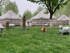 -九十九顶毡房(阜石路店)