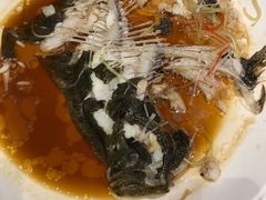 -国人川菜(李家村建东街店)