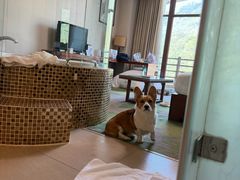 -中铁花水湾温泉酒店(大邑店)