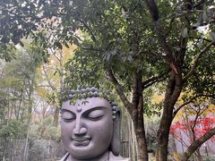 -杭州植物园