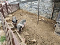 -清风小镇闯关东影视基地