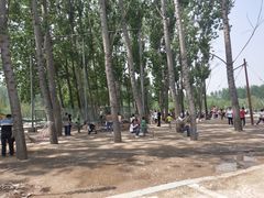 -东方巨龟苑景区