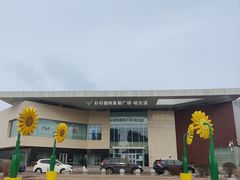 -杉杉奥特莱斯广场(哈尔滨店)