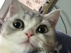 -芭比堂动物医院·犬猫全科·异宠专科(雁塔分院)