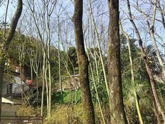 -伴山茶苑·围炉煮茶