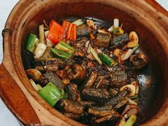 铁板啫黄鳝-天宝食坊·啫啫煲大排档(西华路店)