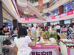 -友谊阳光城