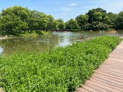 -西溪国家湿地公园