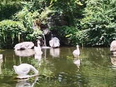 -陶然亭公园