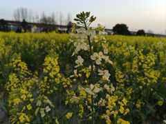 -临平南高铁站(地铁站)