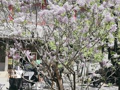 -潭柘寺景区