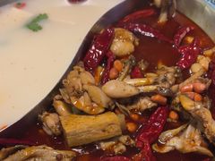 -麻田会 ·鲜活现烹·牛蛙火锅(珠江新城维家思广场店)