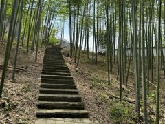 -江南天池