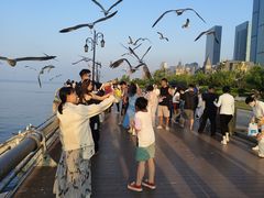 -东港音乐喷泉广场