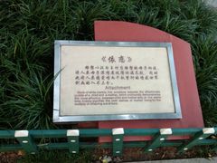 -西安曲江寒窑遗址公园