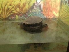 android_upload_pic-石家庄市动物园