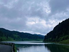 -武陵山森林公园