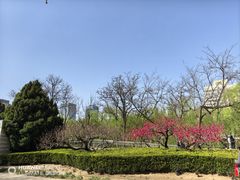 -元大都城垣遗址公园