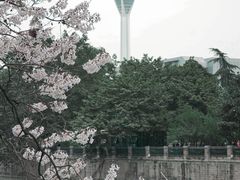 -成都市活水公园