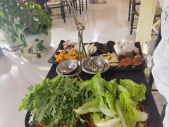 -蘑统田下·野生菌火锅