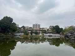 -顺峰山公园