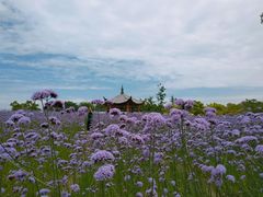 -杭州城北体育公园