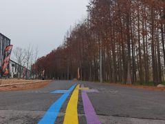 -上海长兴岛郊野公园