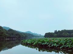 -苏堤停车场