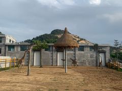 -西霞口神雕山野生动物世界