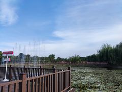 -微山湖红荷湿地景区