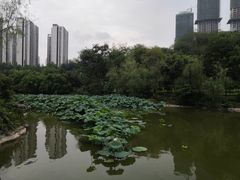 -龙头寺公园