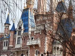 -上海迪士尼度假区