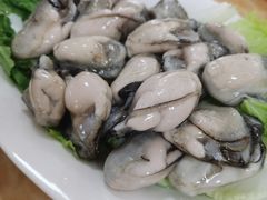 -金砂阿洲鱼册店