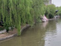 -南汇水蜜桃采摘(大团店)