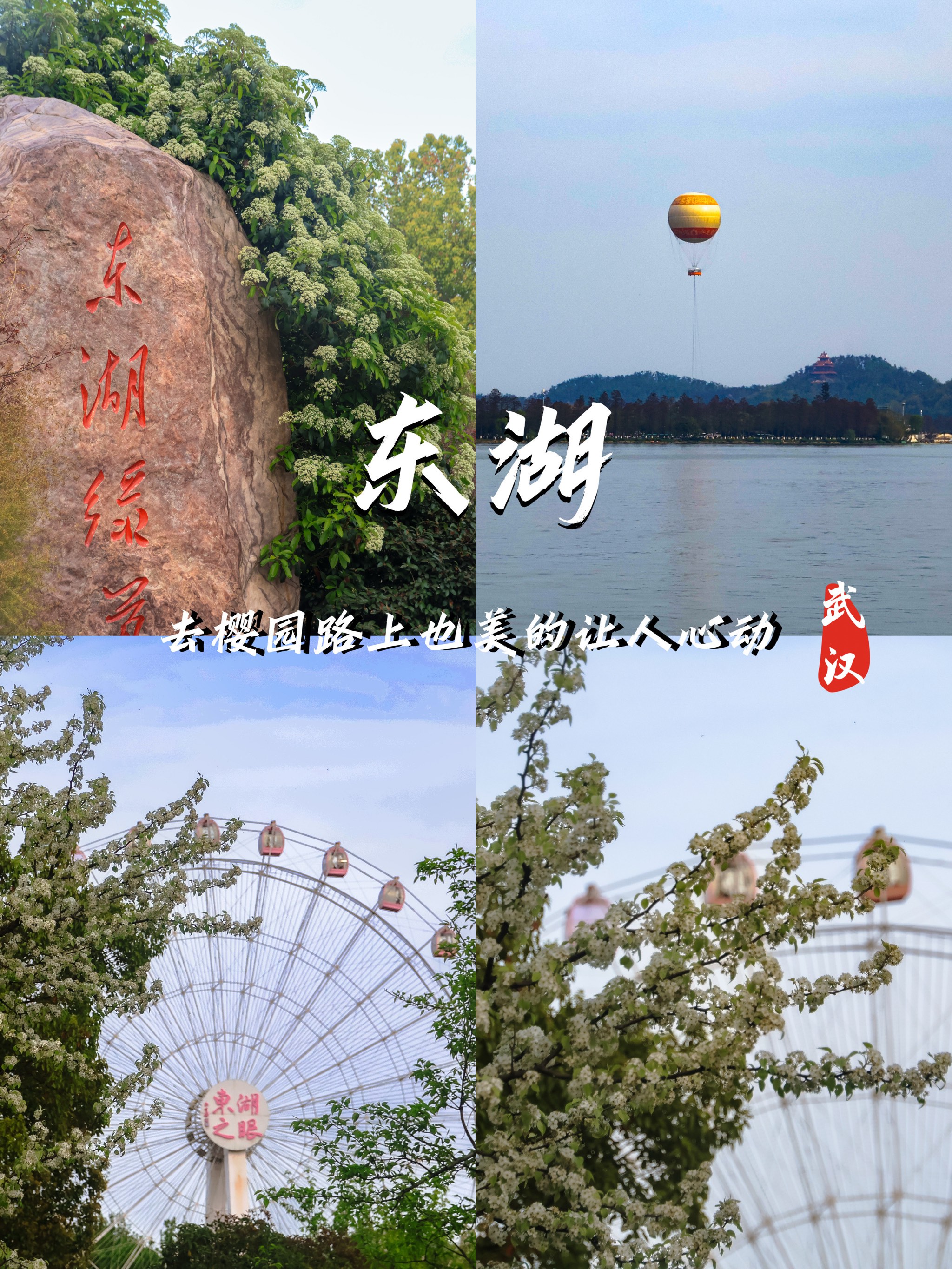 武汉旅游|去樱园路上也美的让人心动·东湖