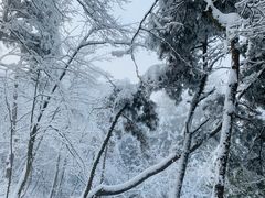 -庐山风景名胜区