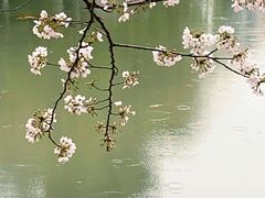 -堤角公园