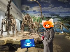 -自贡恐龙博物馆