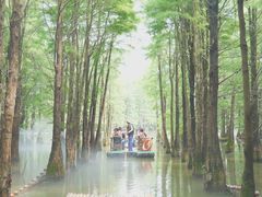 -尚湖风景区