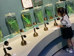 -中国湿地博物馆