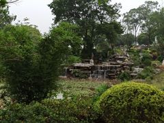 -东莞植物园