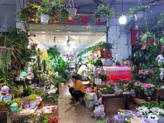 -循礼门鲜花花市(武汉循礼门店)