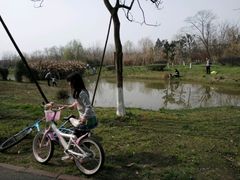 -白鹭湾湿地公园