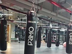 -花环泰拳·勒德斯拉泰拳馆(静安店)