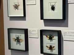 -上海昆虫博物馆