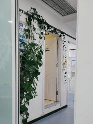 -蕾特恩专业祛痘国际连锁