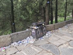 -泰山风景名胜区